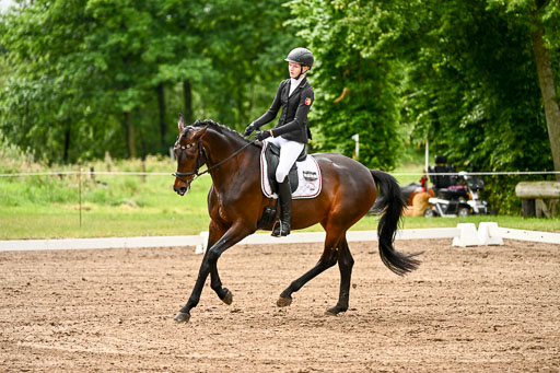 Goldene Schärpe Pferfde in Löningen 2026 | 12062026Dressur B _0146 