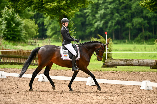 Goldene Schärpe Pferfde in Löningen 2026 | 12062026Dressur B _0147 