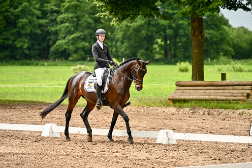 Goldene Schärpe Pferfde in Löningen 2026 | 12062026Dressur B _0148 