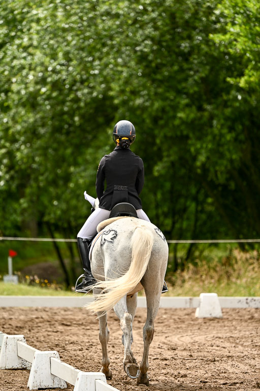 Goldene Schärpe Pferfde in Löningen 2026 | 12062026Dressur B _0150 