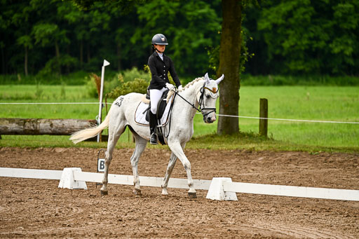 Goldene Schärpe Pferfde in Löningen 2026 | 12062026Dressur B _0156 