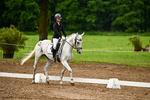 Goldene Schärpe Pferfde in Löningen 2026 | 12062026Dressur B _0157 