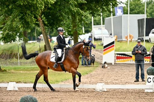 Goldene Schärpe Pferfde in Löningen 2026 | 12062026Dressur B _0161 