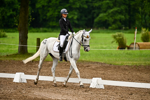Goldene Schärpe Pferfde in Löningen 2026 | 12062026Dressur B _0162 