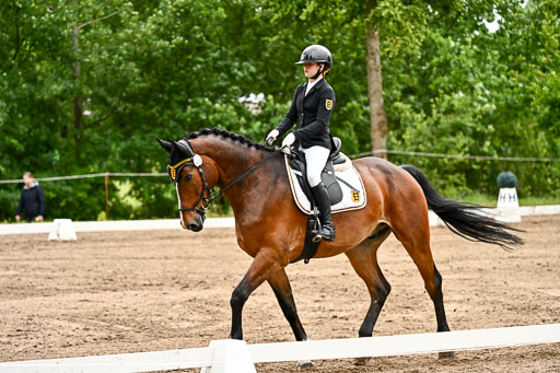 Goldene Schärpe Pferfde in Löningen 2026 | 12062026Dressur B _0163 