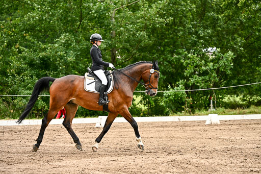 Goldene Schärpe Pferfde in Löningen 2026 | 12062026Dressur B _0165 