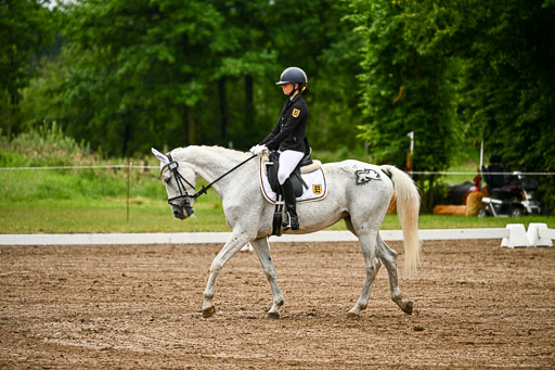 Goldene Schärpe Pferfde in Löningen 2026 | 12062026Dressur B _0166 