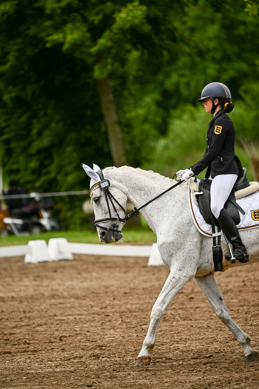 Goldene Schärpe Pferfde in Löningen 2026 | 12062026Dressur B _0167 