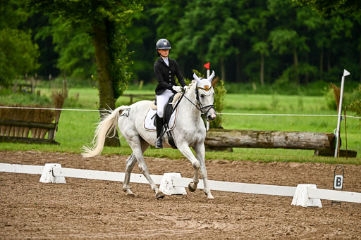 Goldene Schärpe Pferfde in Löningen 2026 | 12062026Dressur B _0173 