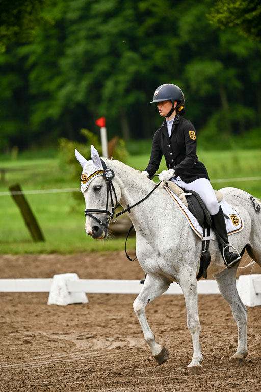 Goldene Schärpe Pferfde in Löningen 2026 | 12062026Dressur B _0174 