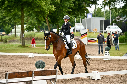 Goldene Schärpe Pferfde in Löningen 2026 | 12062026Dressur B _0175 
