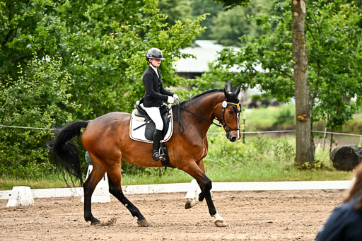 Goldene Schärpe Pferfde in Löningen 2026 | 12062026Dressur B _0176 