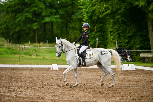 Goldene Schärpe Pferfde in Löningen 2026 | 12062026Dressur B _0179 