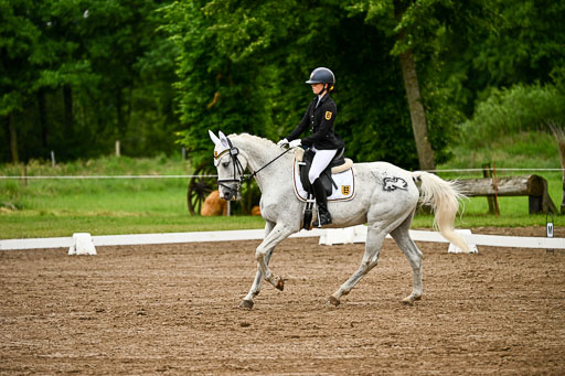 Goldene Schärpe Pferfde in Löningen 2026 | 12062026Dressur B _0181 