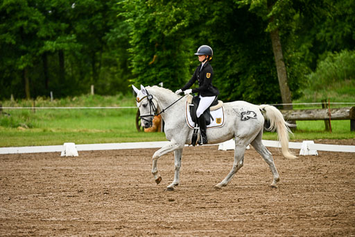 Goldene Schärpe Pferfde in Löningen 2026 | 12062026Dressur B _0182 