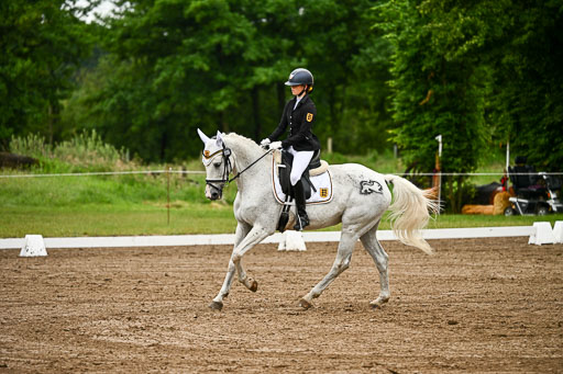 Goldene Schärpe Pferfde in Löningen 2026 | 12062026Dressur B _0183 