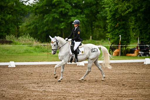 Goldene Schärpe Pferfde in Löningen 2026 | 12062026Dressur B _0184 