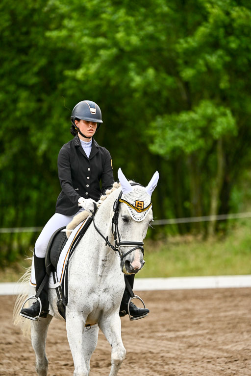 Goldene Schärpe Pferfde in Löningen 2026 | 12062026Dressur B _0185 