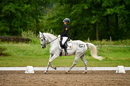 Goldene Schärpe Pferfde in Löningen 2026 | 12062026Dressur B _0186 