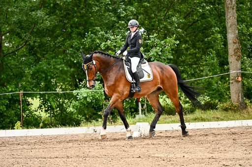 Goldene Schärpe Pferfde in Löningen 2026 | 12062026Dressur B _0188 