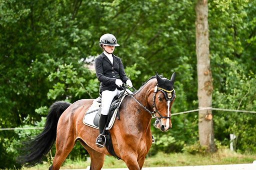 Goldene Schärpe Pferfde in Löningen 2026 | 12062026Dressur B _0189 