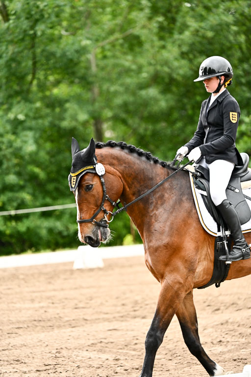 Goldene Schärpe Pferfde in Löningen 2026 | 12062026Dressur B _0190 