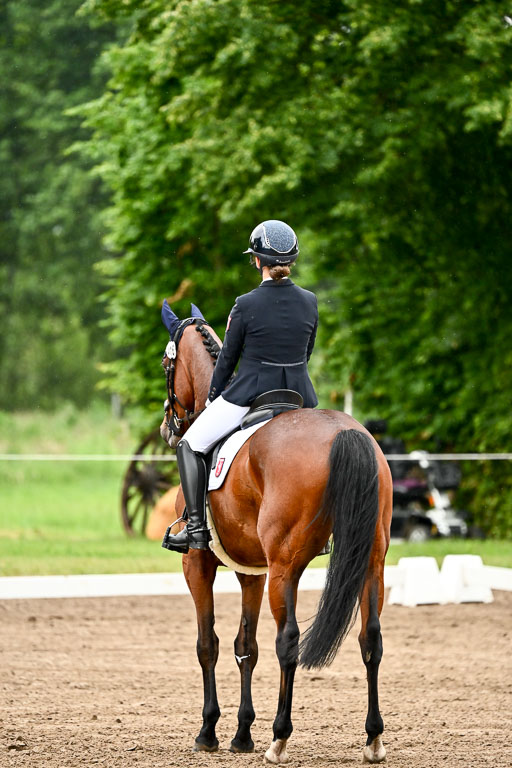 Goldene Schärpe Pferfde in Löningen 2026 | 12062026Dressur B _0196 
