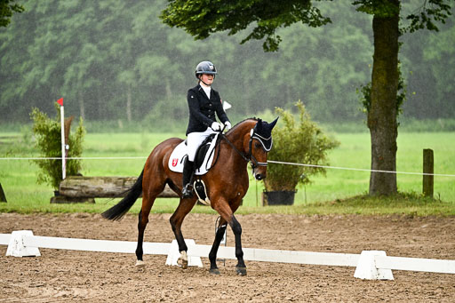 Goldene Schärpe Pferfde in Löningen 2026 | 12062026Dressur B _0197 