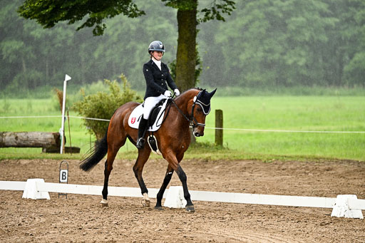 Goldene Schärpe Pferfde in Löningen 2026 | 12062026Dressur B _0199 