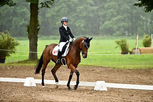 Goldene Schärpe Pferfde in Löningen 2026 | 12062026Dressur B _0200 