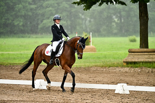 Goldene Schärpe Pferfde in Löningen 2026 | 12062026Dressur B _0201 