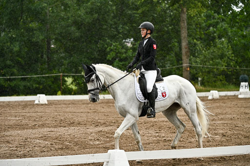 Goldene Schärpe Pferfde in Löningen 2026 | 12062026Dressur B _0203 