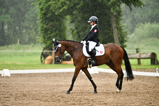 Goldene Schärpe Pferfde in Löningen 2026 | 12062026Dressur B _0204 
