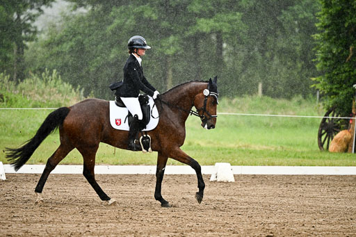 Goldene Schärpe Pferfde in Löningen 2026 | 12062026Dressur B _0205 