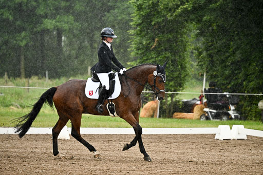 Goldene Schärpe Pferfde in Löningen 2026 | 12062026Dressur B _0206 