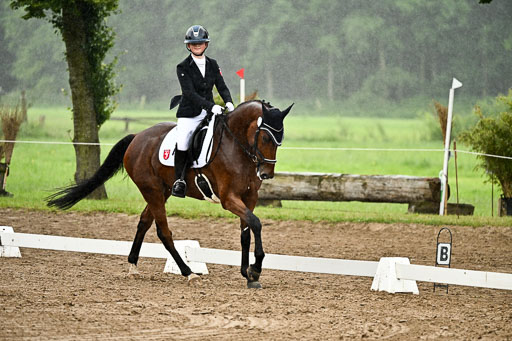 Goldene Schärpe Pferfde in Löningen 2026 | 12062026Dressur B _0207 