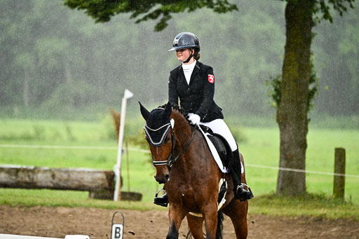 12062026Dressur-B-_0210.jpg