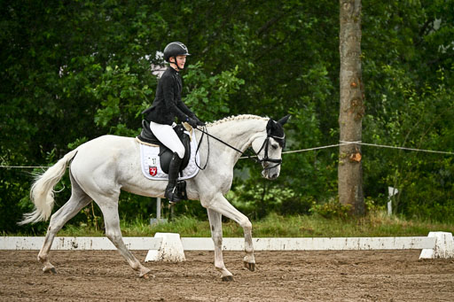 Goldene Schärpe Pferfde in Löningen 2026 | 12062026Dressur B _0213 