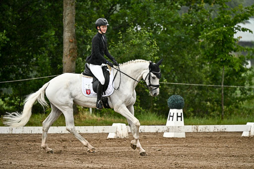 Goldene Schärpe Pferfde in Löningen 2026 | 12062026Dressur B _0214 