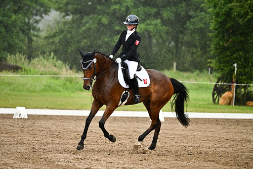 Goldene Schärpe Pferfde in Löningen 2026 | 12062026Dressur B _0216 