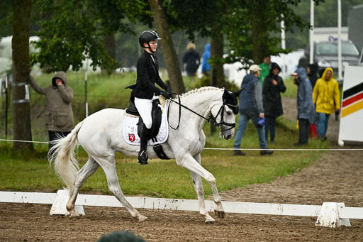 Goldene Schärpe Pferfde in Löningen 2026 | 12062026Dressur B _0219 