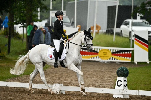Goldene Schärpe Pferfde in Löningen 2026 | 12062026Dressur B _0221 