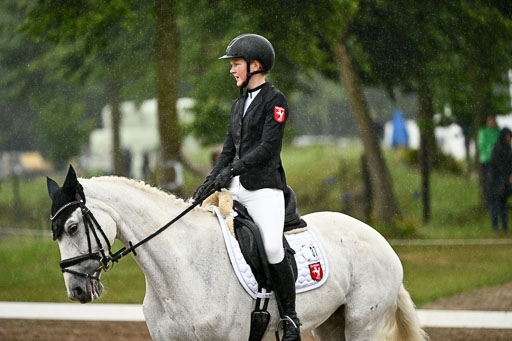 Goldene Schärpe Pferfde in Löningen 2026 | 12062026Dressur B _0222 