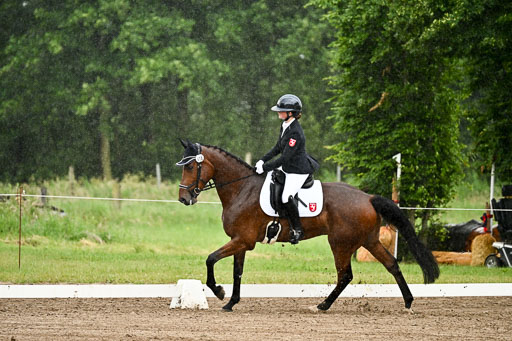 Goldene Schärpe Pferfde in Löningen 2026 | 12062026Dressur B _0223 
