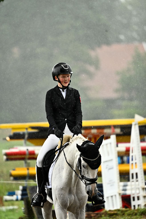 Goldene Schärpe Pferfde in Löningen 2026 | 12062026Dressur B _0226 