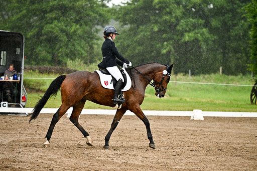 Goldene Schärpe Pferfde in Löningen 2026 | 12062026Dressur B _0227 
