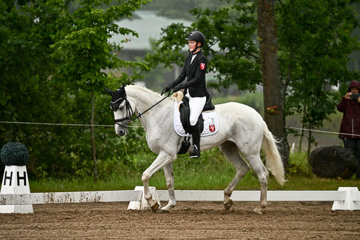 Goldene Schärpe Pferfde in Löningen 2026 | 12062026Dressur B _0229 