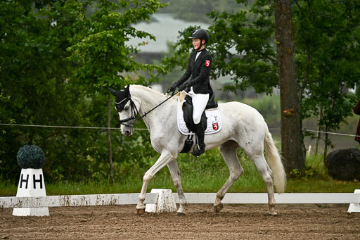 Goldene Schärpe Pferfde in Löningen 2026 | 12062026Dressur B _0230 