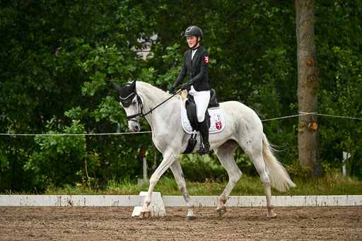 Goldene Schärpe Pferfde in Löningen 2026 | 12062026Dressur B _0231 