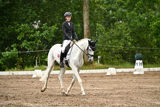 Goldene Schärpe Pferfde in Löningen 2026 | 12062026Dressur B _0233 